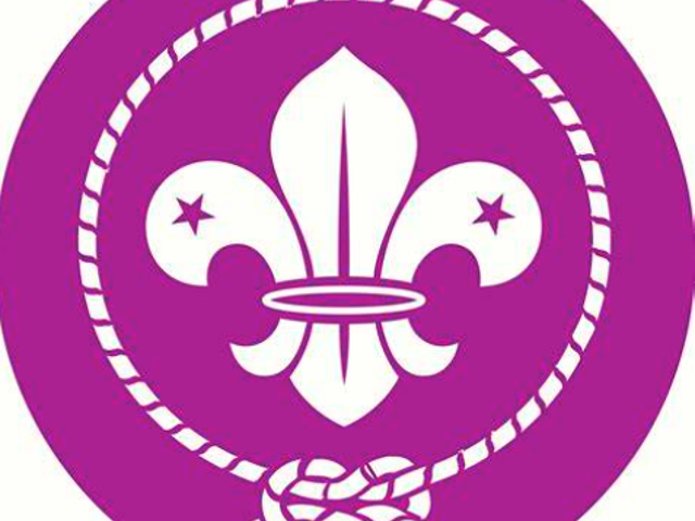 Scouts Logo