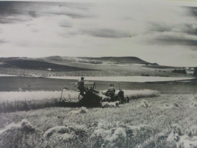 18 Rural Emploment Farming Harvest